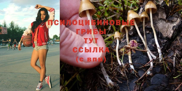 соль ск Кодинск