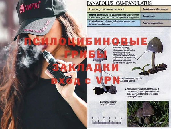 скорость Козловка