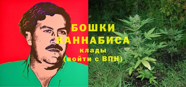 соль ск Кодинск