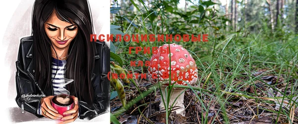 спиды Коряжма