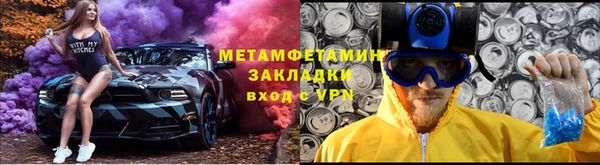 шишки Архангельск
