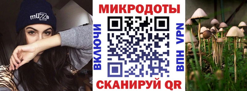 купить закладку Кемь Галлюциногенные грибы GOLDEN TEACHER